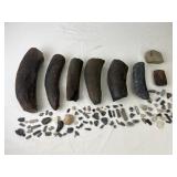 Fossilized Marine Mammal Rib Fragments & Other