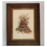 1976 Roger Peterson BOBWHITE Framed Print