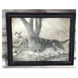 Early 1900's Dog Quail Hunting Framed Print
