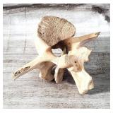 Native American Indian Arrowhead in Bone