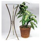Brass & Glass top Fern Stand + Faux Plant, Basket