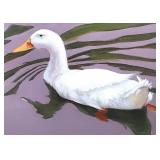 Artist Dana Jester Oil, Canvas White Duck Painting