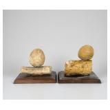 (2) Araucaria Mirabilis Pine Cone W/ Attached Bran