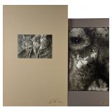 (2) Edmund Teske Abstractions Silver Gelatin Photo