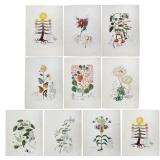 Salvador Dali "Flora Dalinae" Suite 1968