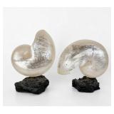 Pair of Engraved Pearlized Style Nautilus Shells