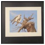 Glenn Olson's 'Scanning - Gyrfalcon' Limited Editi