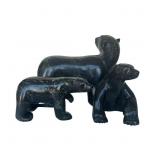 Mother Bear with Cubs - 2024 Kooyoo Peter - Cape D