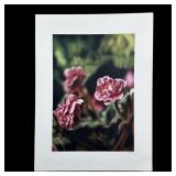 Rudy Sparkuhl, Untitled, 'Flowers' Original