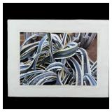 Rudy Sparkuhl, Untitled, 'Agave Plant II' Original