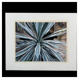 Rudy Sparkuhl, Untitled, 'Agave Plant I' Original