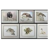Glen Loates North American Wildlife Art Print Coll