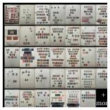 German Republic, mint and used collection on album