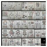 German States used and mint hinged collection, 185