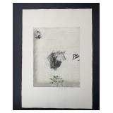 Donald Saff's 'Zebra' Limited Edition Print