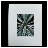 Rudy Sparkuhl, Untitled, 'Little Agave' Original