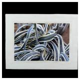 Rudy Sparkuhl, Untitled, 'Agave Plant II' Original
