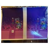 Enlarged Poster of Magic Kingdom/Epcot VHS Cover