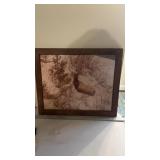 Framed Art