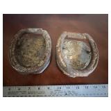Mounted Horseshoes