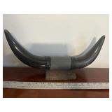Mounted Horns