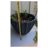 Large Heavy Plastic Planter