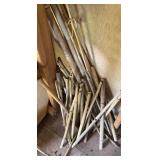 Lot of Bamboo