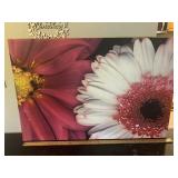 Large Daisy Canvas Picture
