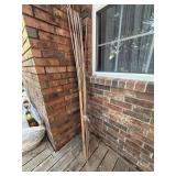 Lot of Bamboo