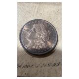 1896 Morgan Dollar