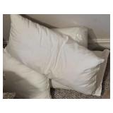 Lot of Pillows