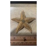 Monet Starfish Brooch