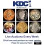 Nifty New Year's Coin Consignments Auction 4 of 6