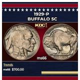 1929-p Buffalo Nickel 5c Grades ms66