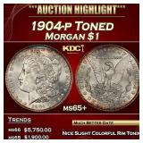 1904-p Morgan Dollar Toned $1 ms65+ SEGS