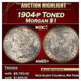 1904-p Morgan Dollar Toned $1 ms65+ SEGS