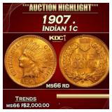 1907 Indian Cent . 1c ms66 rd SEGS