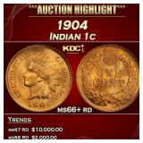 1904 Indian Cent . 1c ms66+ rd SEGS