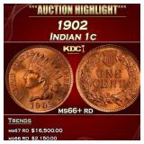 1902 Indian Cent . 1c ms66+ rd SEGS