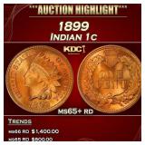 1899 Indian Cent . 1c ms65+ rd SEGS