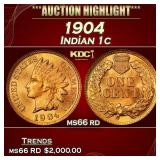 1904 Indian Cent . 1c ms66 rd SEGS