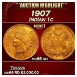 1907 Indian Cent . 1c ms66 rd SEGS