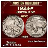 1924-p Buffalo Nickel 5c ms65 SEGS