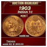 1903 Indian Cent . 1c ms66 rd SEGS