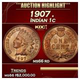 1907 Indian Cent . 1c ms66 rd SEGS