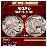 1929-d Buffalo Nickel 5c ms65+ SEGS