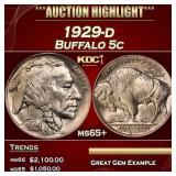 1929-d Buffalo Nickel 5c ms65+ SEGS