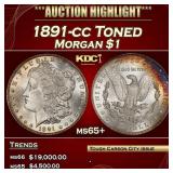 1891-cc Morgan Dollar Toned $1 ms65+ SEGS