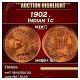 1902 Indian Cent . 1c ms66+ rd SEGS
