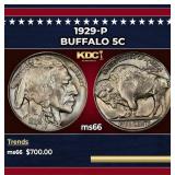 1929-p Buffalo Nickel 5c Grades ms66